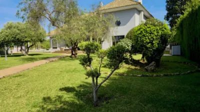 Chalet in Arcos de La Frontera photo 11