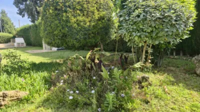 Chalet in Arcos de La Frontera photo 9