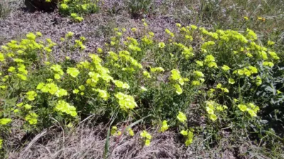 Piso en venta en Plaza Bohemia, 3, Km 0-Km 3 (La Manga del Mar Menor) de 235.000 €