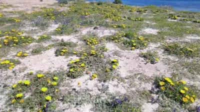 Piso en venta en Plaza Bohemia, 3, Km 0-Km 3 (La Manga del Mar Menor) de 235.000 €