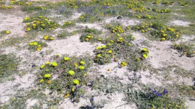 Piso en venta en Plaza Bohemia, 3, Km 0-Km 3 (La Manga del Mar Menor) de 235.000 €