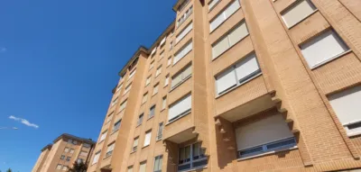 Apartment on Calle de los Robles, No. SN photo 24