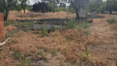 Rustic house in Torreperogil photo 10