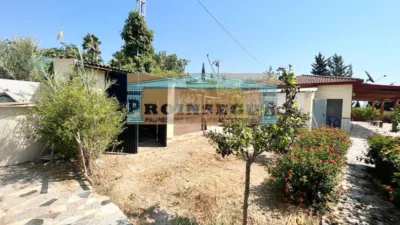 Rustic finca on Coin Street photo 10