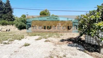 Rustic finca on Coin Street photo 7