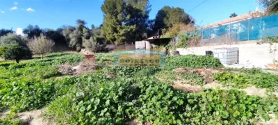 Rustic finca on Coin Street photo 20