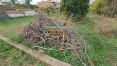 Rustic Finca in Centro photo 3