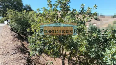 Rustic finca on Calle del Toledillo photo 6
