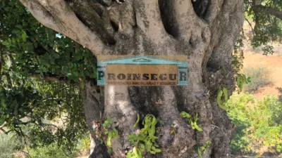 Rustic finca on Calle del Toledillo photo 7