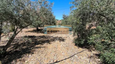 Rustic finca on Calle del Toledillo photo 2