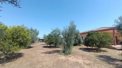 Chalet en Pilas photo 27