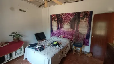 Chalet en Pilas photo 8