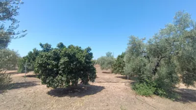 Chalet en Pilas photo 28
