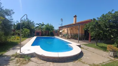 Chalet en Pilas photo 19