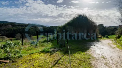 House on Calle Concesa Josue photo 6