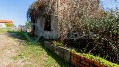 House on Calle Concesa Josue photo 3