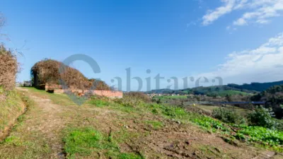 House on Calle Concesa Josue photo 2