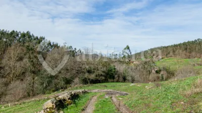 Rustic Finca on San Antonio Street photo 17