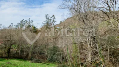 Rustic Finca on San Antonio Street photo 19
