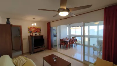 Apartment in Platja de Ponent photo 28