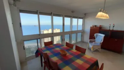 Apartment in Platja de Ponent photo 10