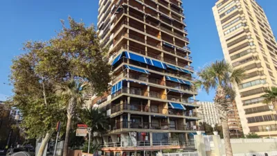 Apartment in Platja de Llevant photo 8