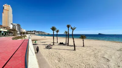 Apartment in Platja de Ponent photo 20