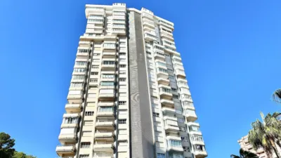Apartment in Platja de Ponent photo 18