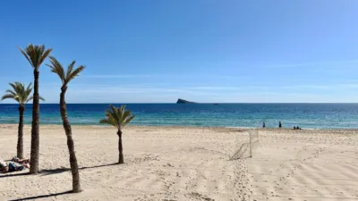 Apartment in Platja de Ponent photo 23