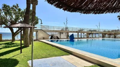 Apartment in Platja de Ponent photo 10