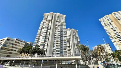 Apartment in Platja de Ponent photo 14