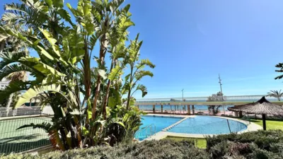 Apartment in Platja de Ponent photo 45