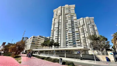 Apartment in Platja de Ponent photo 16
