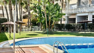 Apartment in Platja de Ponent photo 9