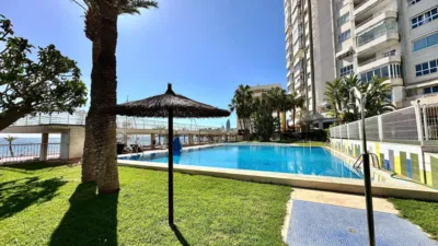 Apartment in Platja de Ponent photo 53