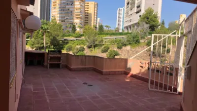 Apartment in Platja de Ponent photo 4