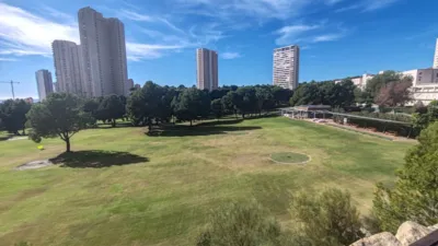 Pis – Benidorm - Vista 3