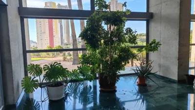 Apartment in Vía Parque photo 53