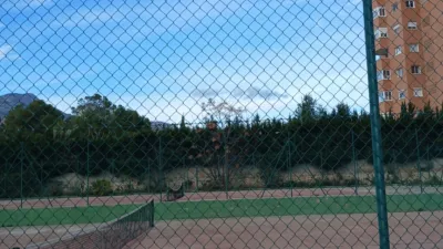 Apartment in Platja de Ponent photo 16