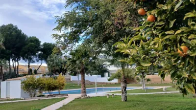 Apartment in Platja de Ponent photo 18