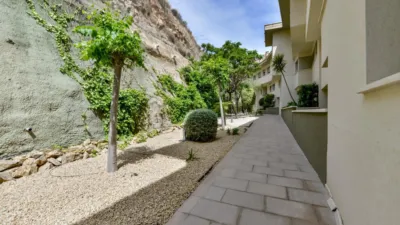 Apartment in Mascarat photo 5