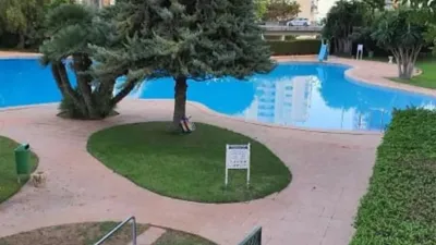 Apartment on Avinguda de la Marina Baixa photo 3