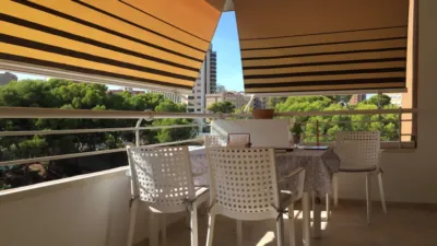 Apartment on Avinguda de la Marina Baixa photo 17