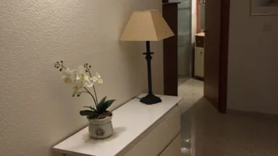 Apartment on Avinguda de la Marina Baixa photo 22