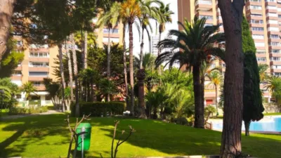 Apartment on Avinguda de la Marina Baixa photo 6