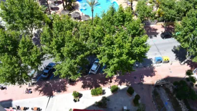 Pis – Benidorm - Vista 4