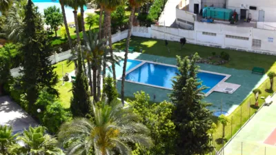 Apartment in Racó de l'Oix photo 27