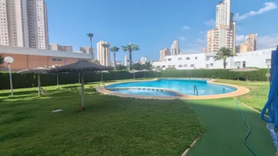 Pis – Benidorm - Vista 3