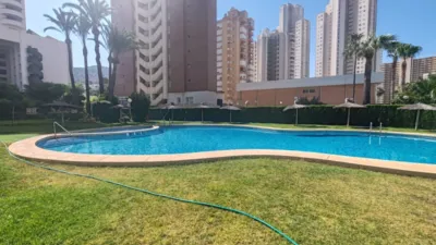 Pis – Benidorm - Vista 2