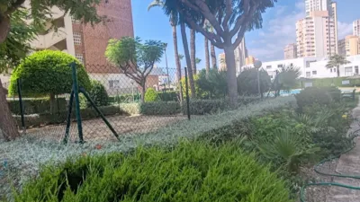 Pis – Benidorm - Vista 4